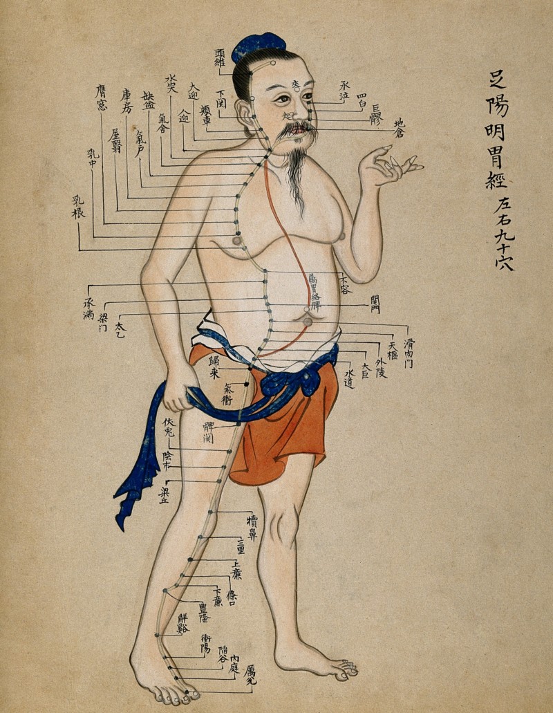 V0018499 Acupuncture chart with a series of points indicated on the
Credit: Wellcome Library, London. Wellcome Images
images@wellcome.ac.uk
http://wellcomeimages.org
Acupuncture chart - standing man facing right with
acupuncture points.

